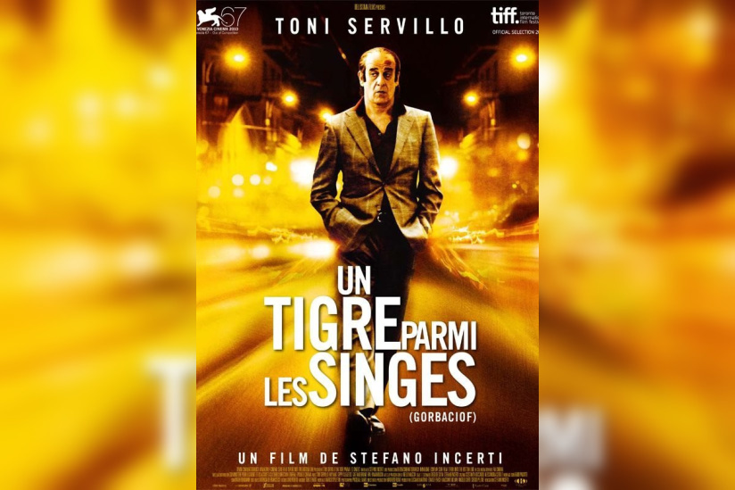 Un tigre parmi les singes