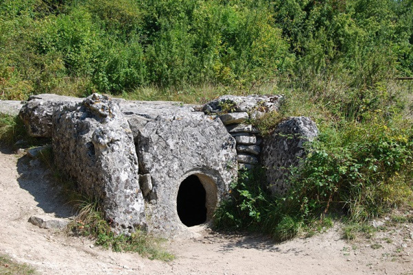 Fête de la Nature 2024 au Bois de Morval à Guiry-en-Vexin dans le Val d'Oise