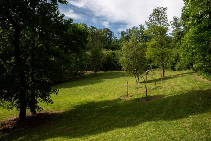 Fête de la Nature 2024 au Parc Schlumberger à Cormeilles-en-Parisis dans le Val d'Oise