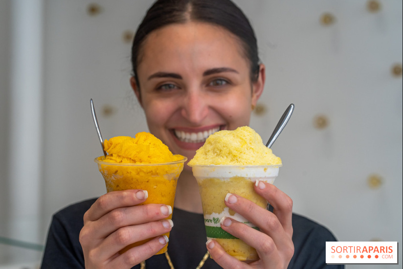 Les glaces granité-neige ultra rafraichissantes de Jade Génin façon kakigori 2024