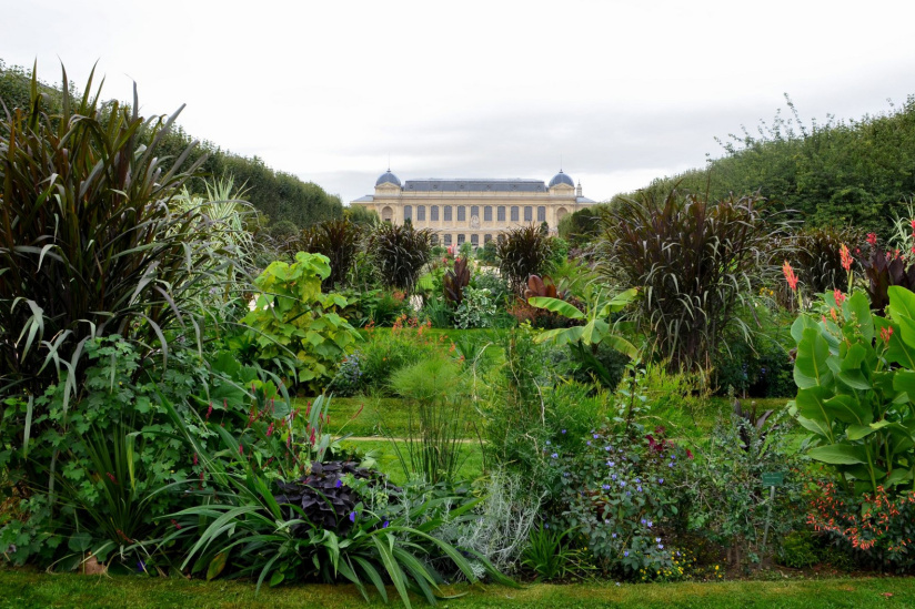 Festival Pousse Pousse au Jardin des Plantes
