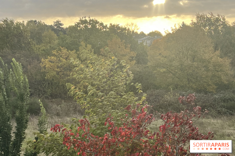 Tempête Benjamin : parcs et jardins fermés en Île-de-France