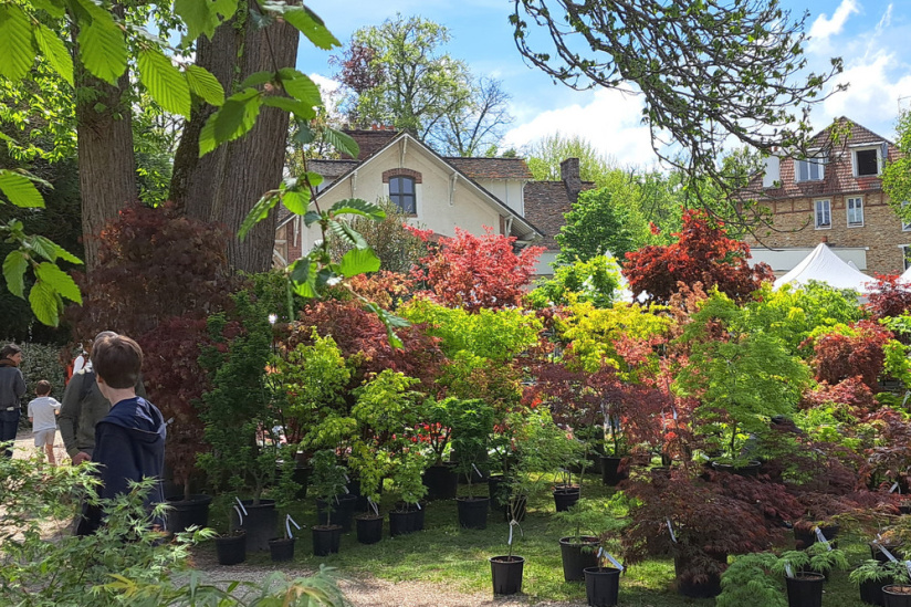 Fête des Parcs et Jardins à Barbizon 2026 : les Jardins du Monde
