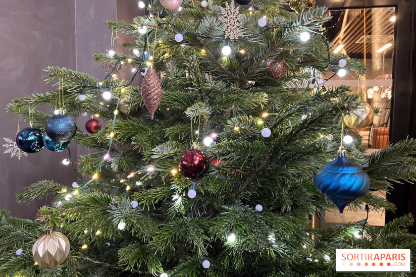 Le Marché de Noël de Thoiry 2025 - 78