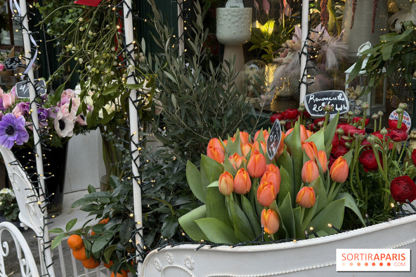 La foire aux Plantes de Crèvecœur-En-Brie 2026 (77)