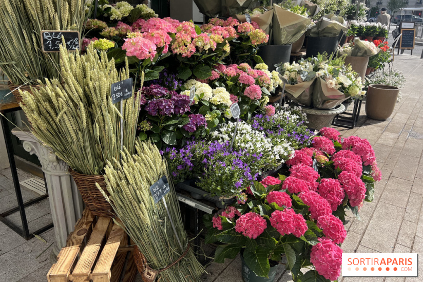 La Fête des Jardins de Sois-y en Essonne 2026