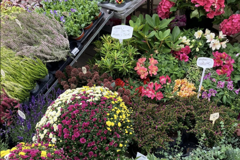 La Fête des Plantes de Viroflay 2026 (78)