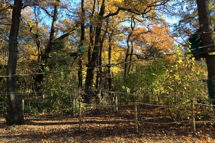 Evasion verte, le parcours accrobranche du Parc Floral de Paris, saison 2025