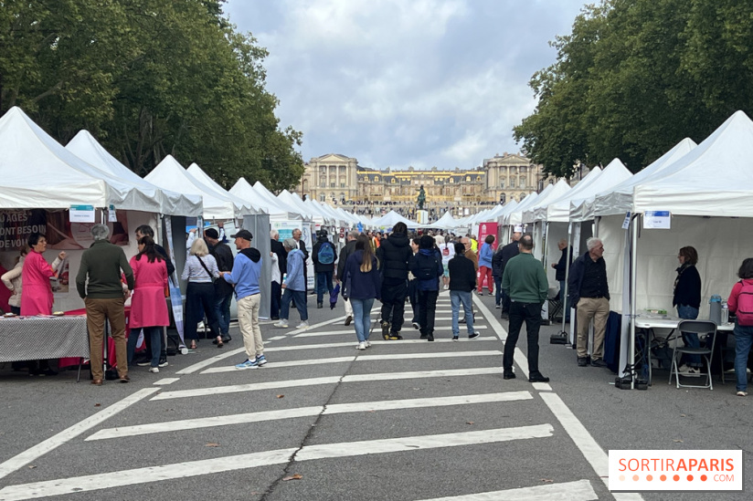 Brocantes et vide-greniers des Yvelines ce week-end dans le 78