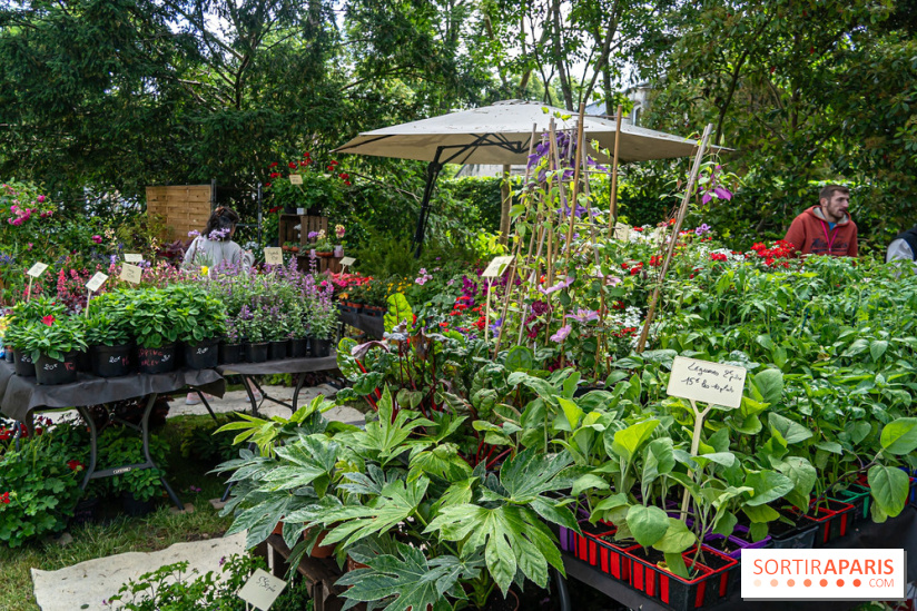 Seine-et-Marne : La Foire aux Plantes à Larchant 2026 : marché, troc et animations - 77