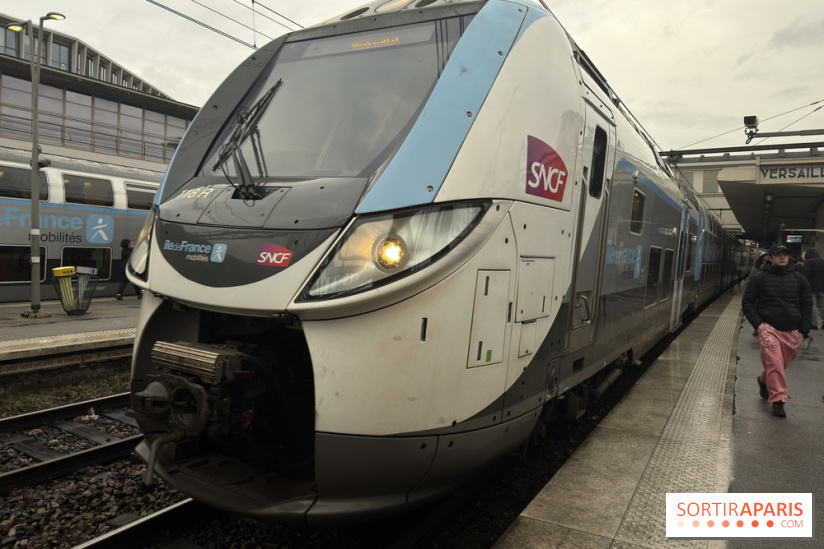 Ligne P perturbée cet été : 6 semaines de travaux en Seine-et-Marne