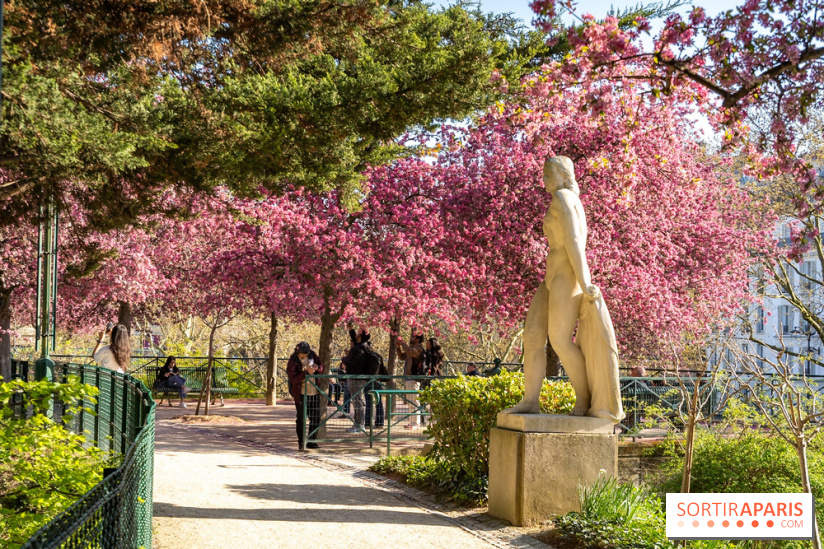 Fête de la Nature à Paris et en Ile-de-France 2026 : les bons plans gratuits des 20 ans