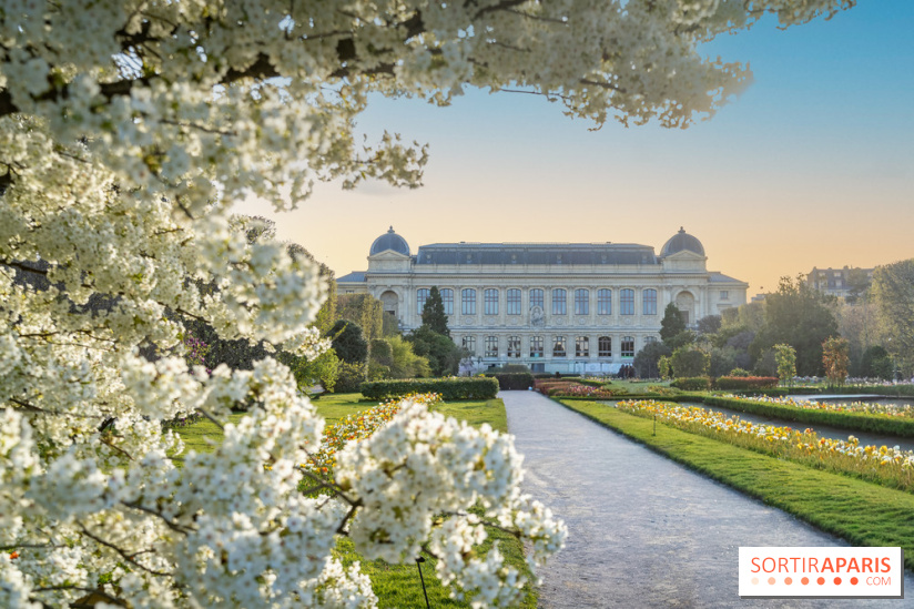 Quelle météo cette semaine à Paris du 30 mars au 6 avril 2026 ? 