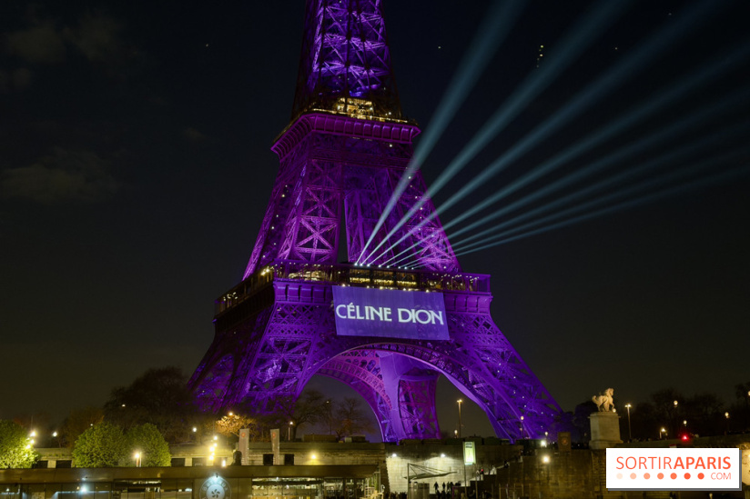 Céline Dion en concert à Paris La Défense Arena : dates, prévente... tout ce qu'il faut savoir