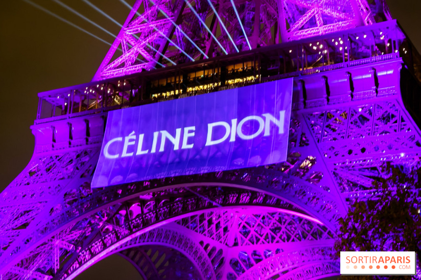 Céline Dion en concert à Paris, pourquoi la jaune est réduite ? 