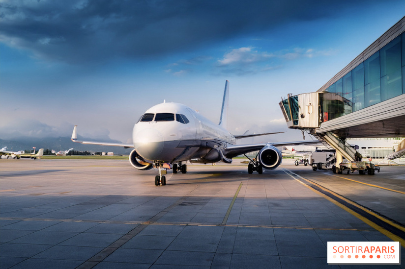 Vols annulés Transavia en mai et juin 2026 : êtes-vous concerné et que faire ?