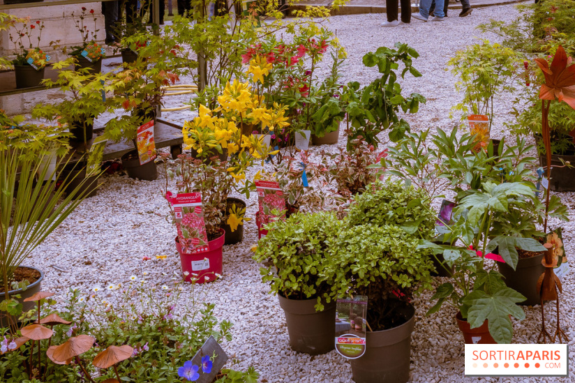Jardins en fête à Auvers 91