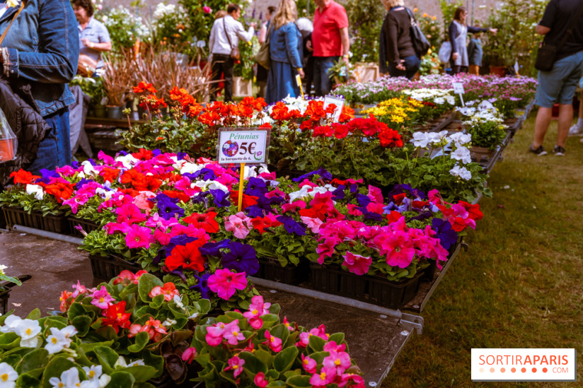 Fête des plantes de Méry