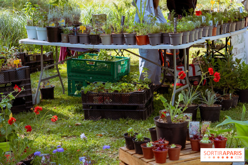 Les Naturiales 2026 à Fontainebleau : marché de plantes et animations nature en Seine-et-Marne