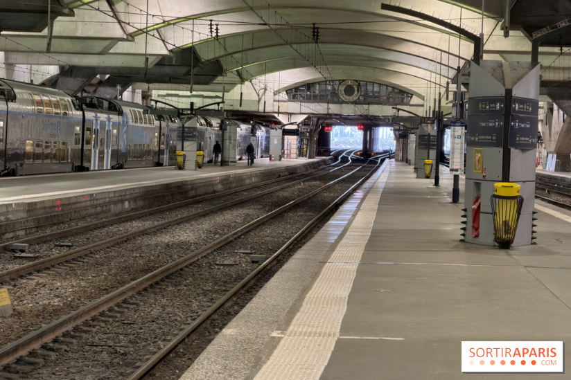 Canicule : RER et Transilien, des trains supprimés ce mardi en IDF