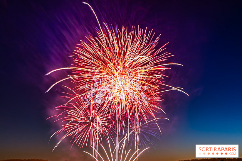 Seine-et-Marne, les feux d'artifice du 14 juillet interdits dans les zones sensibles