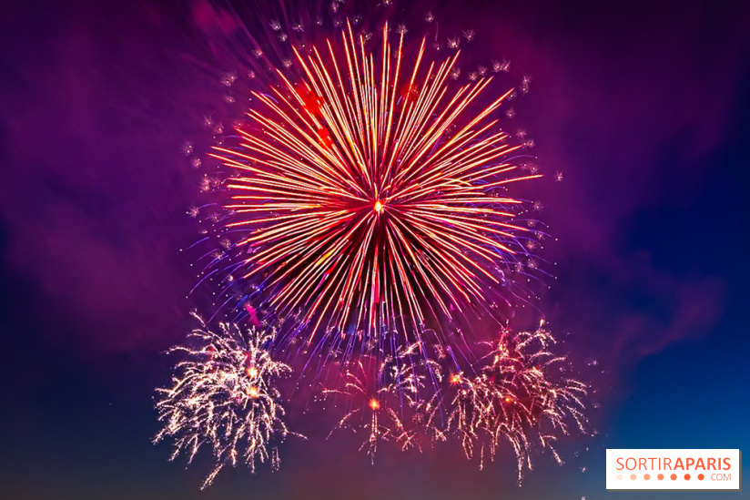 Après l'Essonne, les Yvelines, le Val d'Oise et la Seine-et-Marne interdisent les feux d'artifice