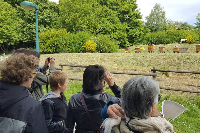 Les Rando'durables 2018