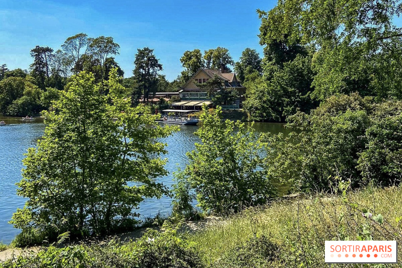 The 10km of the Bois de Boulogne 2023, the race in the middle of nature