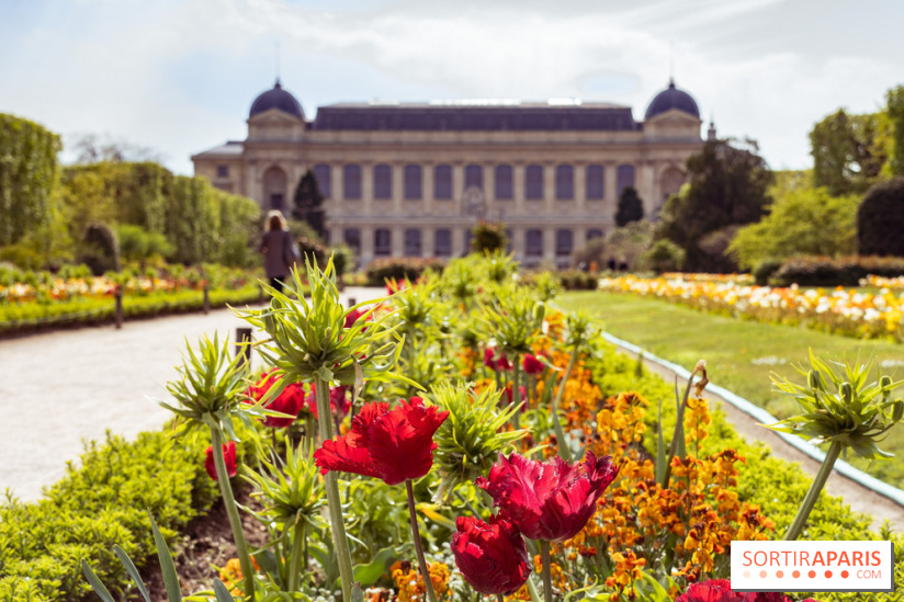 La Fête des sens s'invite au Jardin des Plantes pour les vacances de Pâques