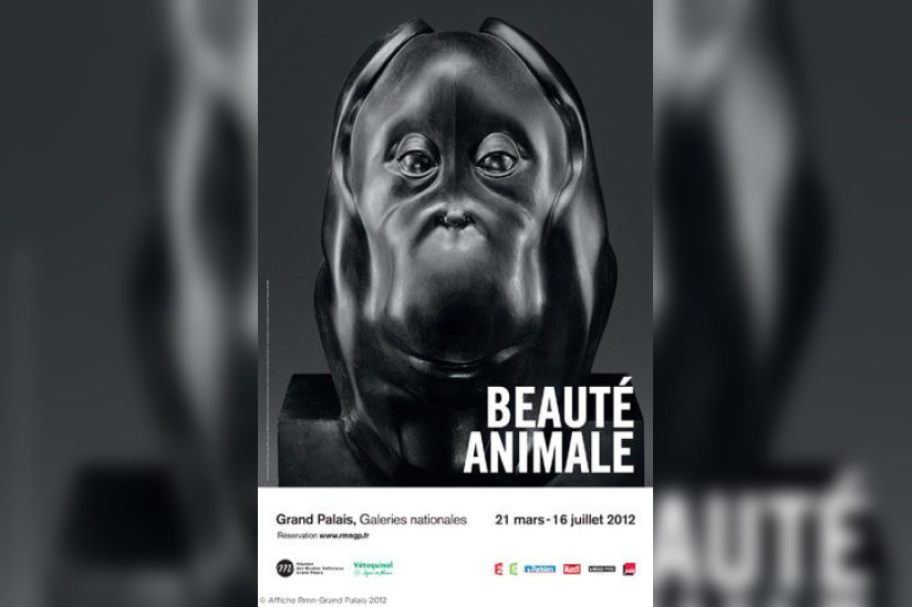 exposition beauté animale au grand palais