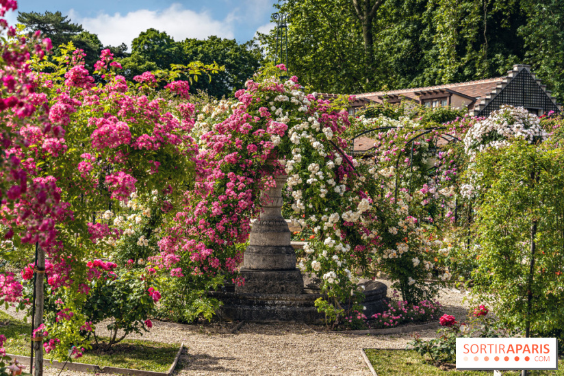 Les plus belles roseraies à Paris et en Île-de-France
