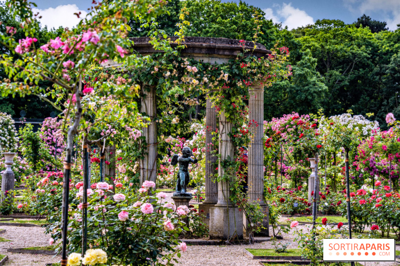 Les plus belles roseraies à Paris et en Île-de-France