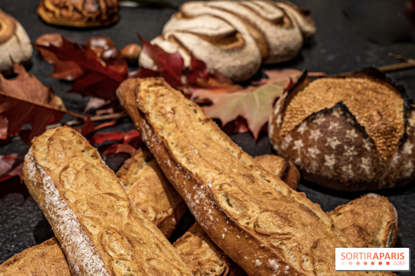 Où trouver les meilleures baguettes et pains au levain de Paris ?