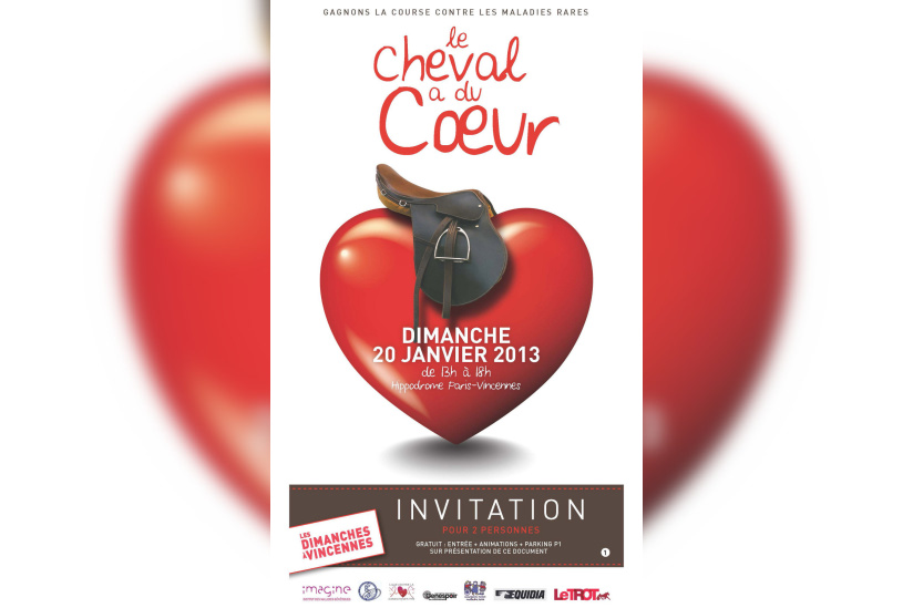 Le Cheval a du cœur à l'hippodrome de Paris-Vincennes