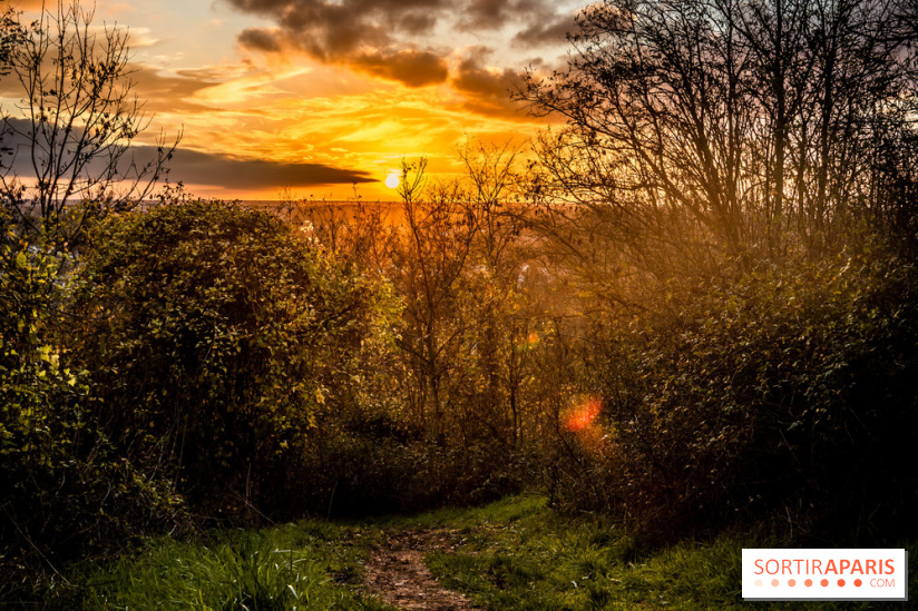 Colline d’elancourt - colline de la revanche 