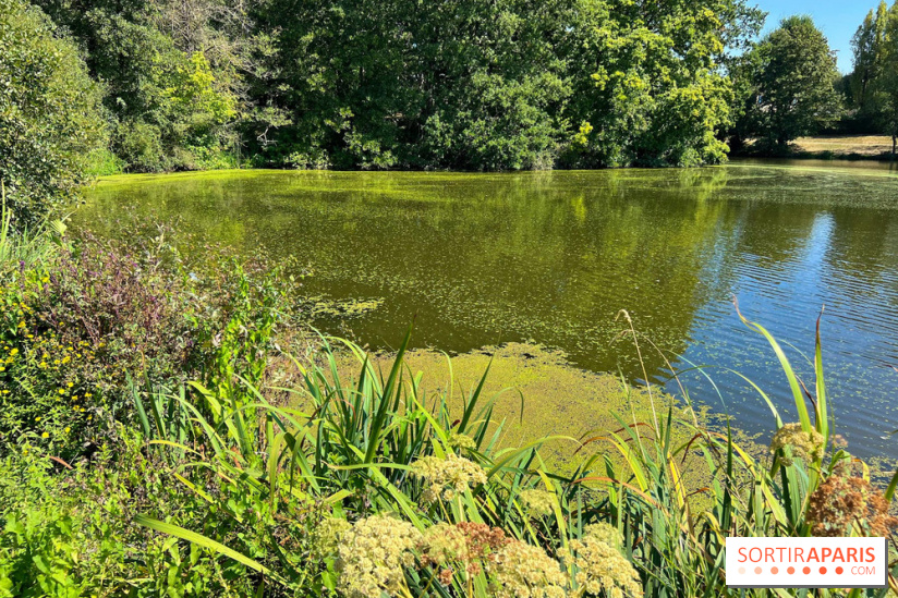 Fête de la Nature à Issy-les-Moulineaux, le programme gratuit