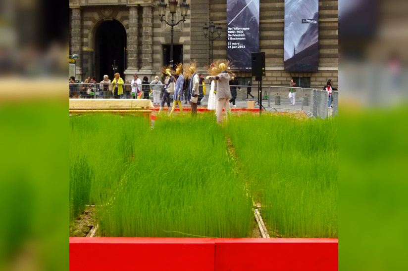 LINcroyable récolte