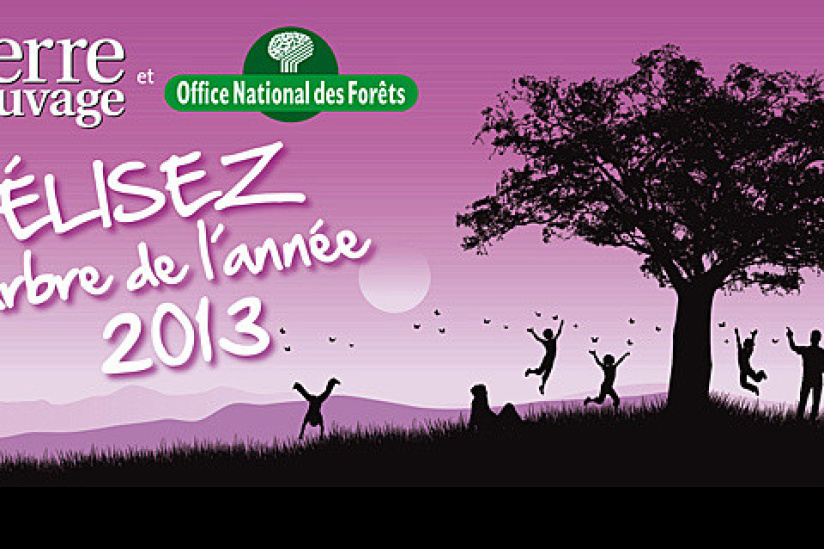 Exposition "Arbre de l'année" au Parc André Citroën