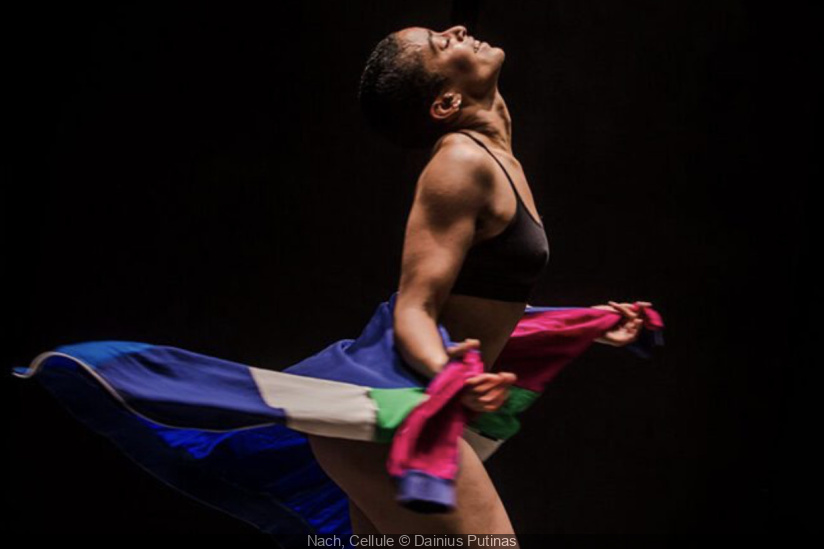 Spectacle de danse classique « Au fil des saisons » au Châtelet-en