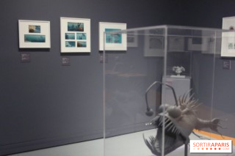 Pixar, l'exposition au Musée Art Ludique