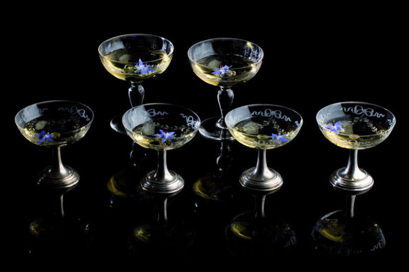 Le Festival de la Photographie Culinaire : bourrache