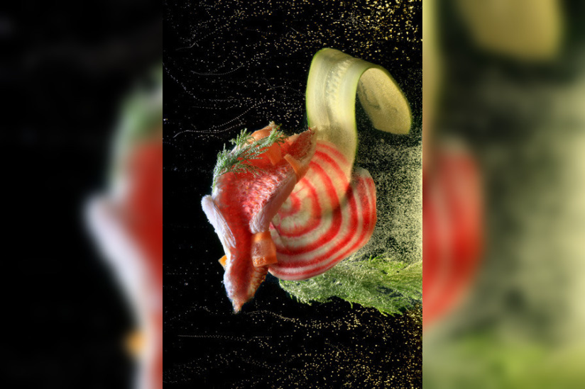 Festival de la Photographie Culinaire