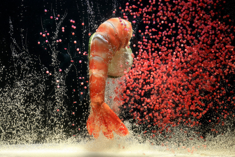 Festival de la Photographie Culinaire