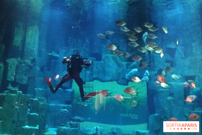 Exposition Under The Pole à l'Aquarium de Paris