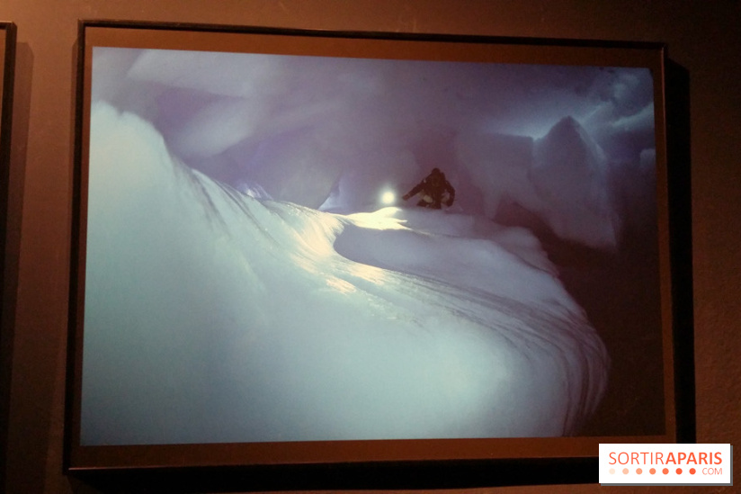 Exposition Under The Pole à l'Aquarium de Paris