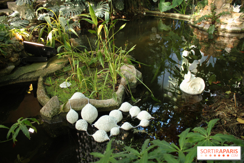 Noces Végétale au Jardin des Plantes : ilots