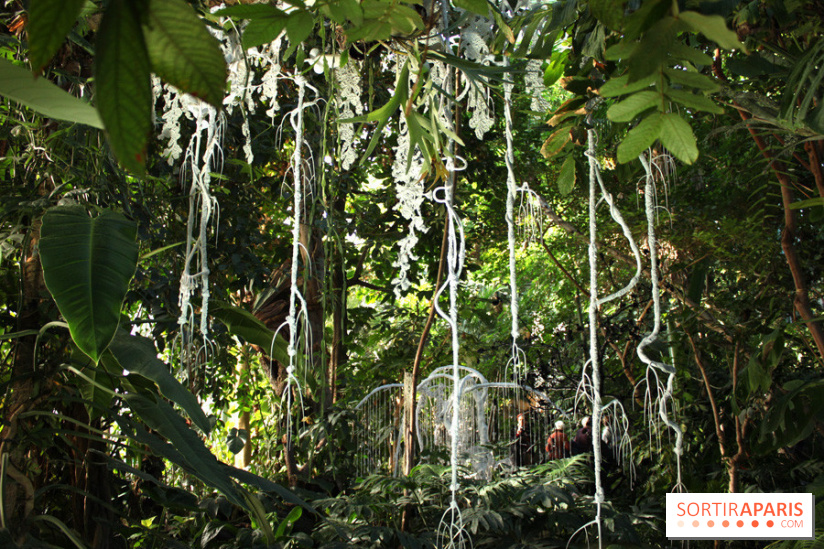 Noces Végétale au Jardin des Plantes : portique de dentelle