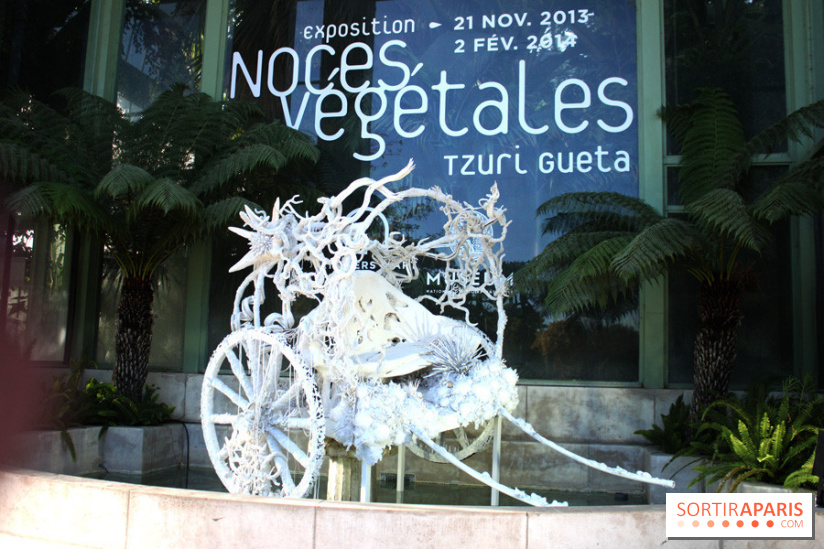Noces Végétales au Jardin des Plantes : la calèche