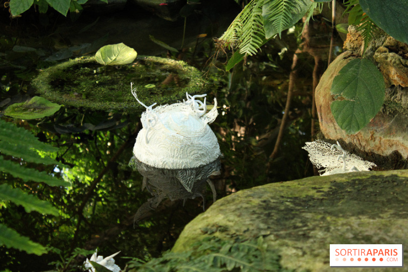 Noces Végétales au Jardin des Plantes