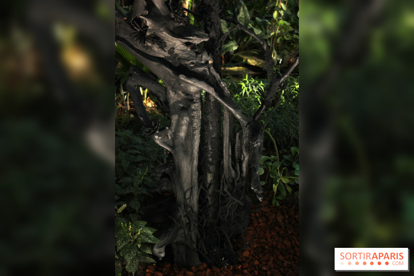 Noces Végétales au Jardin des Plantes : le marié